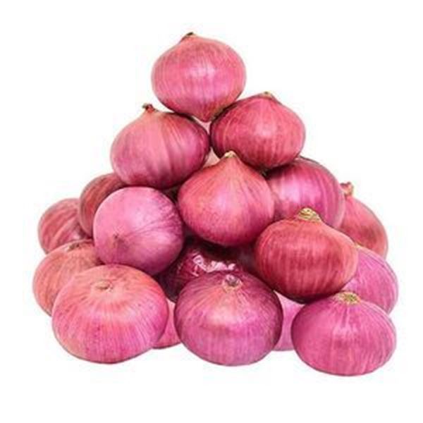 Fresh Big Onion