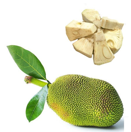 Fresh Green Tender Jackfruit (Idichakka) (India)