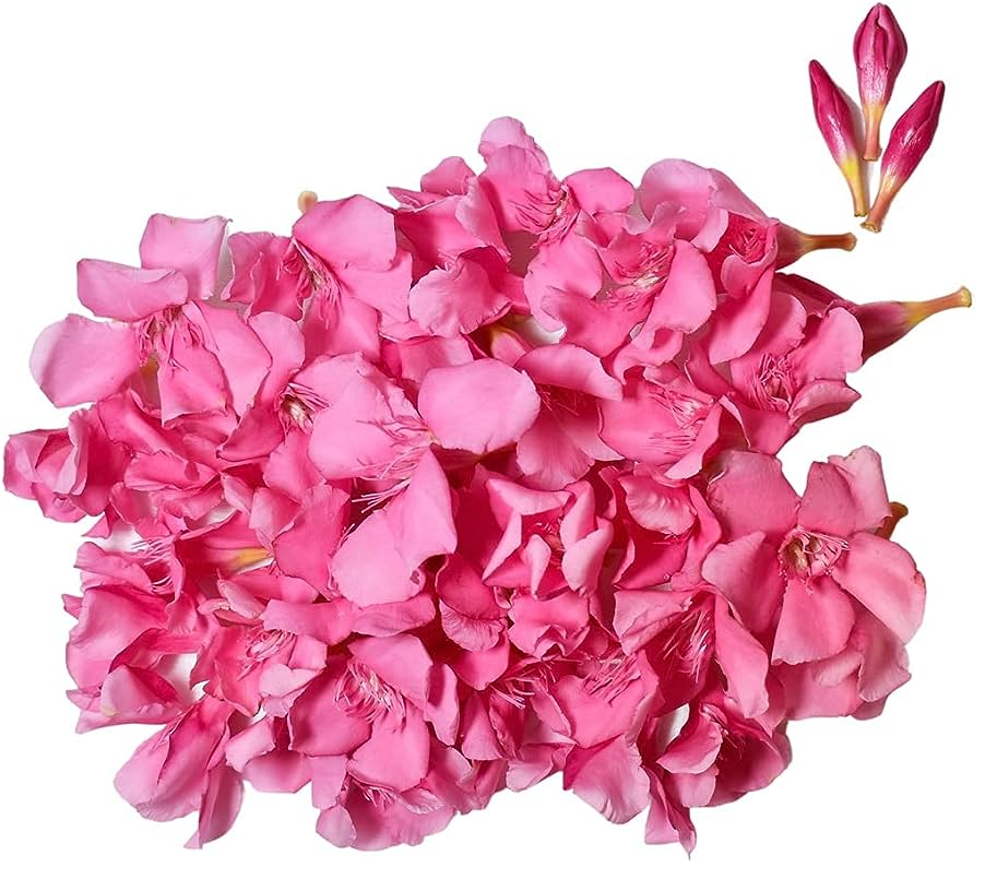 Fresh Arali Loose (Ganneru) Pooja Flowers
