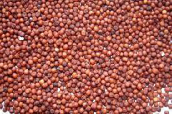 Navarathna Finger Millet (Ragi) - 500 g