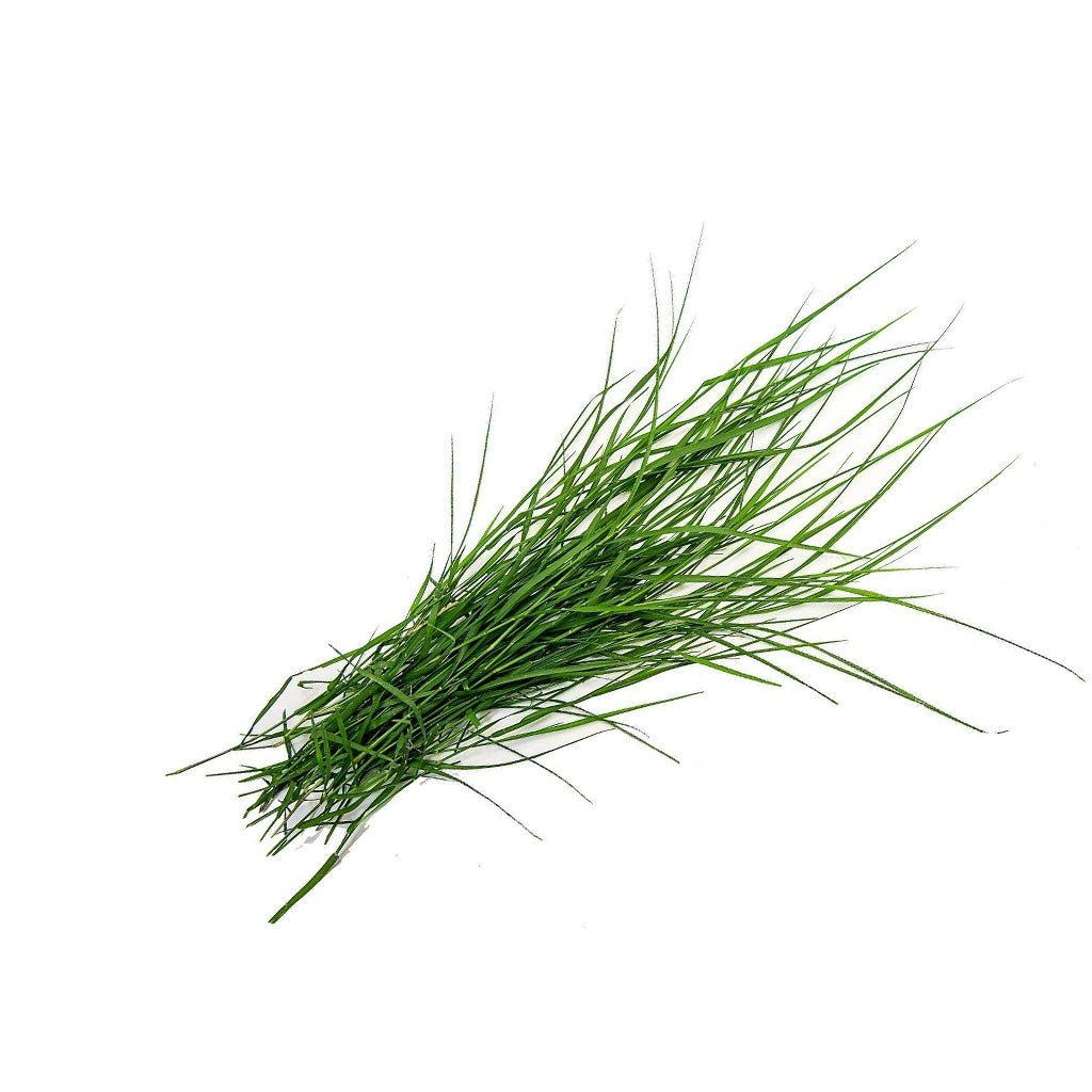 Fresh Dhurva Leaves - 50 g