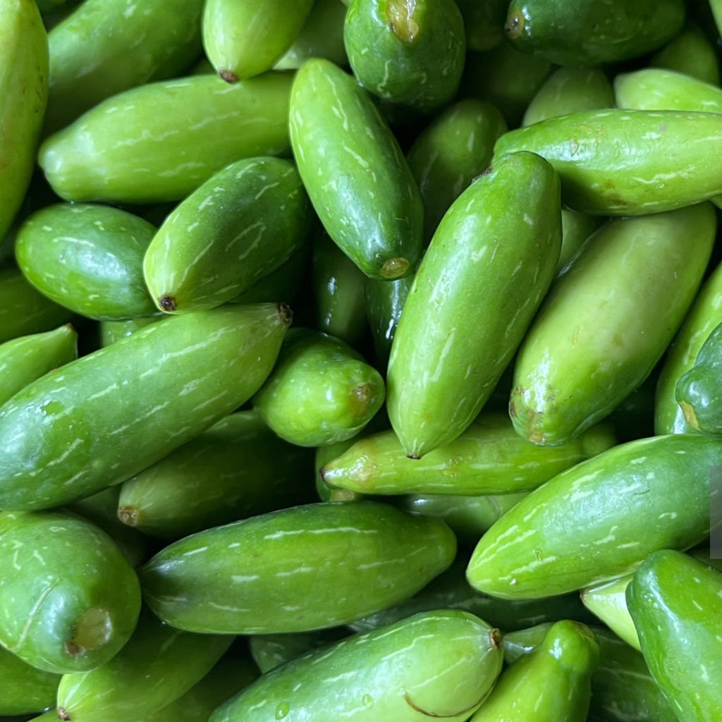 Fresh Ivy Gourd India (Tindora Kovakkai) - 500 g