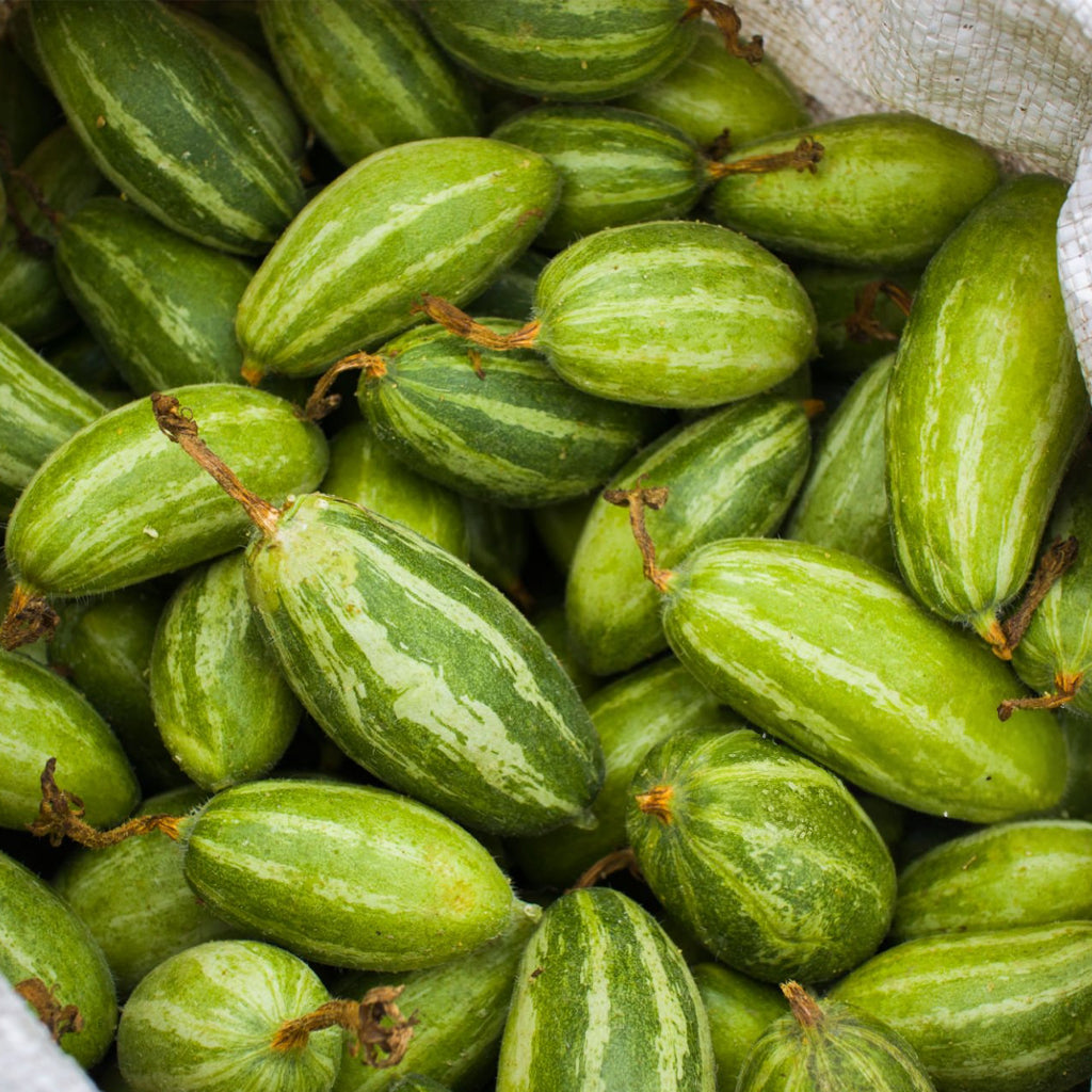 Fresh Pointed Gourd Parwal - 500 g