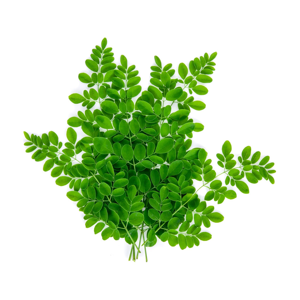 Fresh Moringa Leaves(Kelor) - 300 g