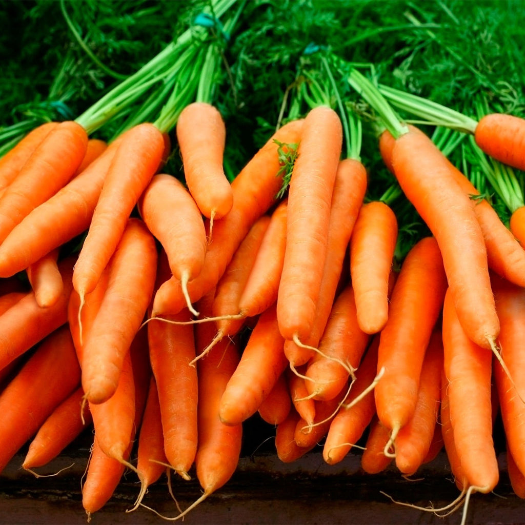 Fresh Carrots (Australia) - 900 g