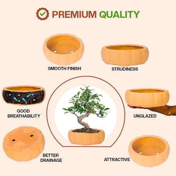 Terracotta Round Shape Bonsai Planter - 8 inch
