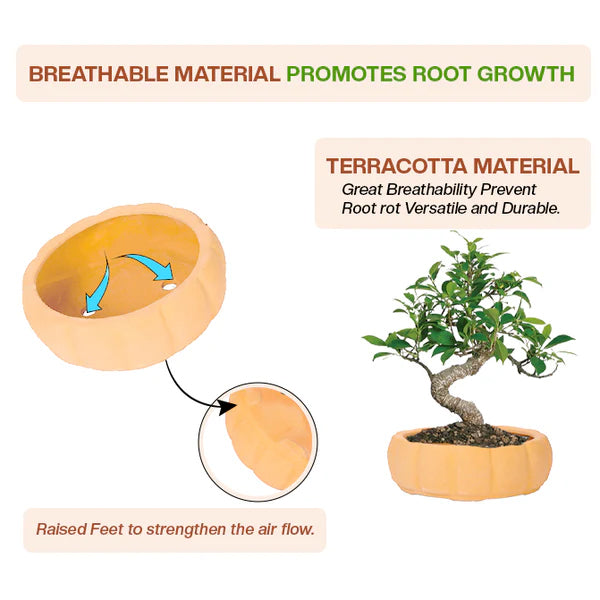 Terracotta Round Shape Bonsai Planter - 8 inch