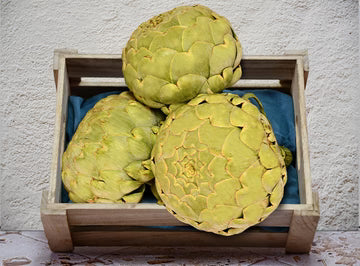 Les Jardins Du Petit DepotLpd - Apollo Artichoke/Les Jardins Du Petit Depot - 1 Kg