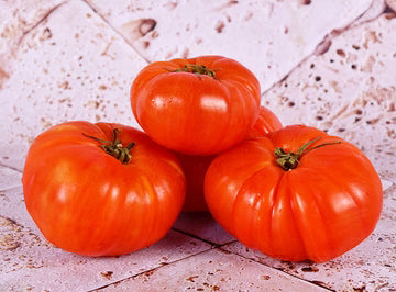Les Jardins Du Petit DepotLpd - Pink De Berne Tom/Les Jardins Du Petit Depot - 1 Kg