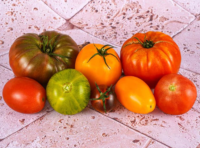 Les Jardins Du Petit DepotLpd - Heirloom Vintage Tom/Les Jardins Du Petit Depot - 1 Kg