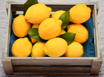 Les Jardins Du Petit DepotLpd - Sicilian Lemon With Leaves/Les Jardins Du Petit Depot - 1 Kg
