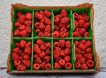 Les Jardins Du Petit DepotLpd - Raspberry Tulameen/Les Jardins Du Petit Depot - 100 g