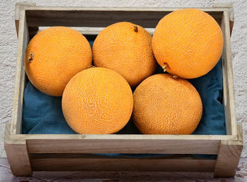 Bio RungisLpd - Org Melon Galia/Bio Rungis - 1 Pc