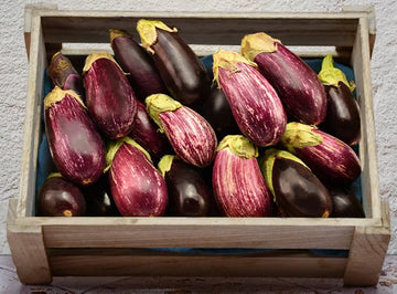 Les Jardins Du Petit DepotLpd - Mini Eggplant/Les Jardins Du Petit Depot - 1 Kg