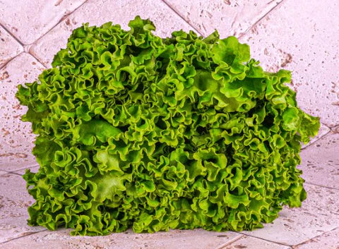 Les Paysans BioLpd - Org Batavia Lettuce/Les Paysans Bio - 1 Pc