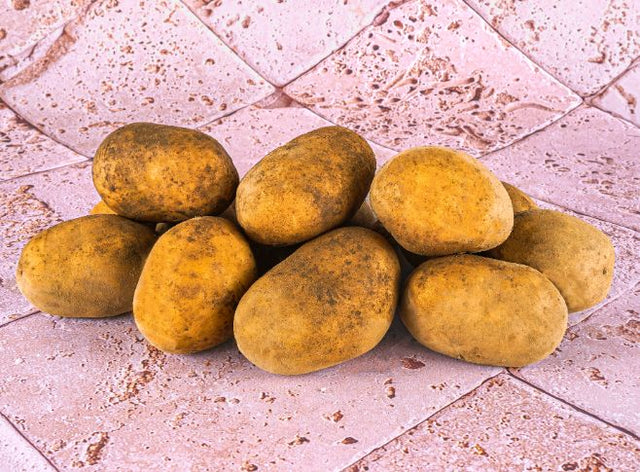 Les Paysans BioLpd - Org Maiwenn Pot/Les Paysans Bio  - 1  Pc