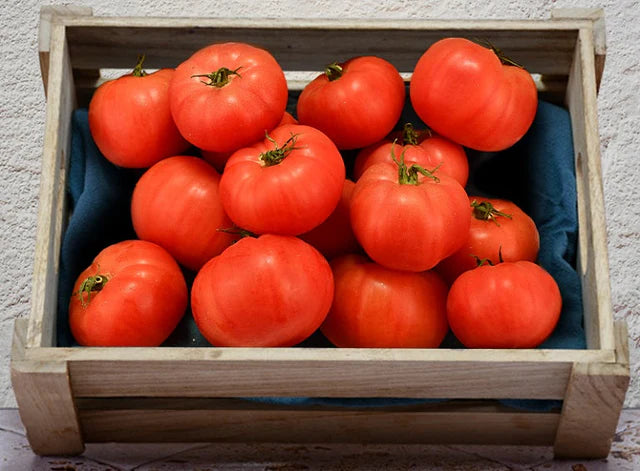 Les Paysans BioLpd - Org Rose De Berne Tomato/Les Paysans Bio  - 1 kg