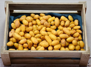 Les Jardins Du Petit DepotLpd - Delicatesse Mitraille Pot/Les Jardins Du Petit Depot - 1 Kg