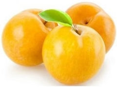 Les Paysans BioLpd - Org Golden Japan Yel Plum/Les Paysans Bio  - 1  Pc