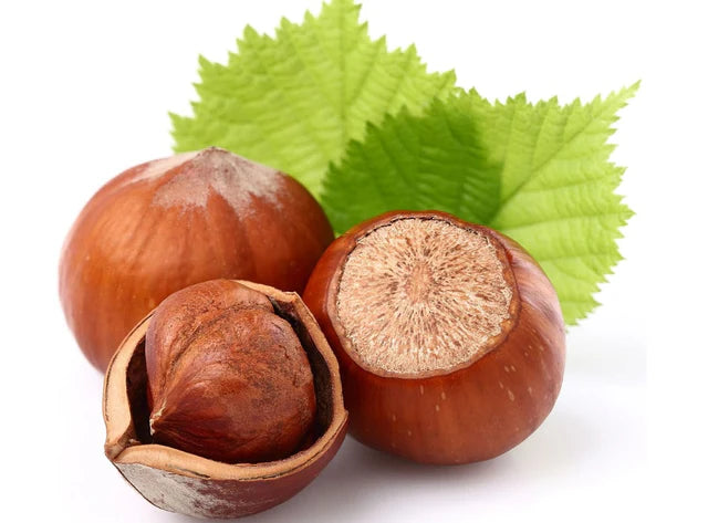 Les Jardins Du Petit DepotLpd - Fresh Hazelnuts/Les Jardins Du Petit Depot - 500 g