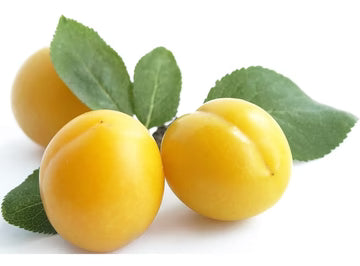 Les Jardins Du Petit DepotLpd - Mirabelle Plum/Les Jardins Du Petit Depot - 1 Kg