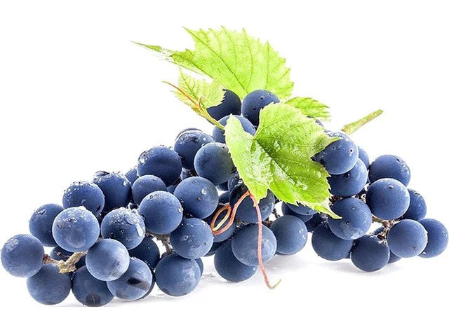 Les Jardins Du Petit DepotLpd - Black Muscat Grape/Les Jardins Du Petit Depot - 1 Kg