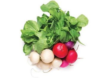 Les Jardins Du Petit DepotLpd - Mix Coloured Radish/Les Jardins Du Petit Depot - 1 Bunch