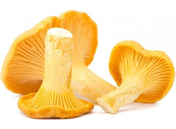 Les Jardins Du Petit DepotLpd - Girolles/Les Jardins Du Petit Depot  - 1 Pc