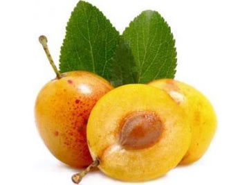 Bio RungisLpd - Org Mirabelle Plum/Bio Rungis - 1 Kg