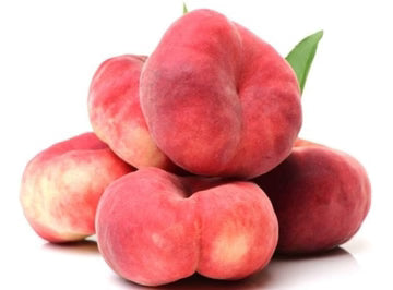 Les Jardins Du Petit DepotLpd - Doughnut Peach/Les Jardins Du Petit Depot - 500 g