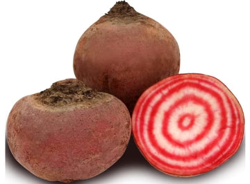 Les Jardins Du Petit DepotLpd - Chioggia Beetroot/Les Jardins Du Petit Depot - 1 Kg