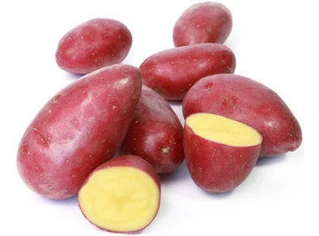 Les Jardins Du Petit DepotLpd - Cheyenne Pot/Les Jardins Du Petit Depot - 1 Kg