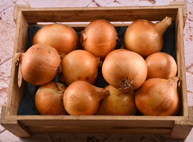 Bio RungisLpd - Org Yellow Onion/Bio Rungis - 0.5 Kg