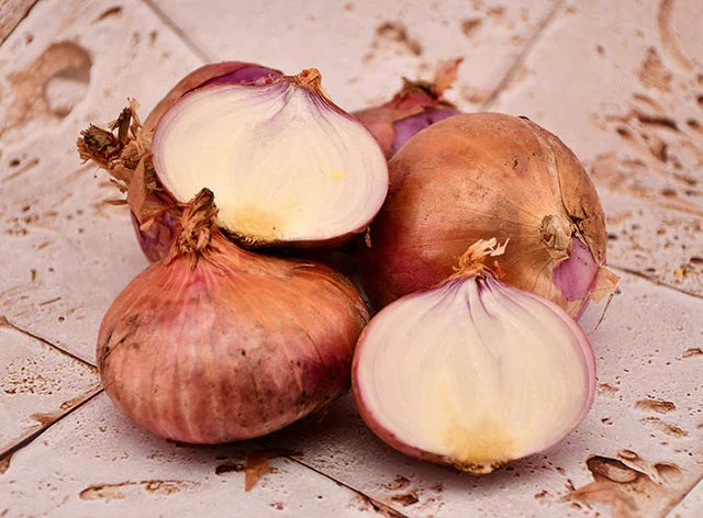 Bio RungisLpd - Org Red Onion/Les Paysans Bio  - 1  Pc