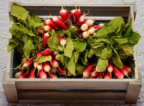 Les Paysans BioLpd - Org Long Red Radish/Les Paysans Bio - 1 Pc