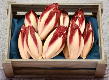 Les Jardins Du Petit DepotLpd - Carmine Chicory/Les Jardins Du Petit Depot - 1 Kg