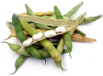 Les Jardins Du Petit DepotLpd - Tarbais White Beans/Les Jardins Du Petit Depot - 1 Kg