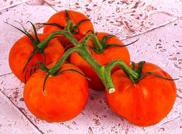 Les Jardins Du Petit DepotLpd - Tomato Trusses/Les Jardins Du Petit Depot - 1 Kg