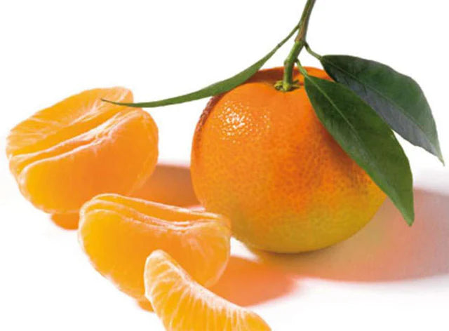 Les Paysans BioLpd - Org Corsican Clem Pgi/Les Paysans Bio  - 1  Pc
