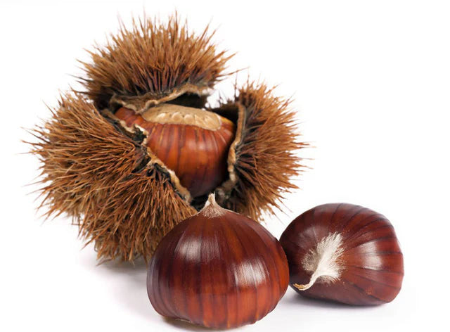 Les Jardins Du Petit DepotLpd - Chestnut/Les Jardins Du Petit Depot - 1 Kg