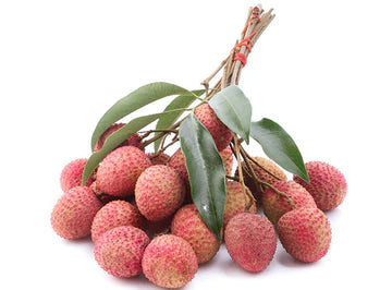 Les Jardins Du Petit DepotLpd - Lychee/Les Jardins Du Petit Depot - 1 Pc