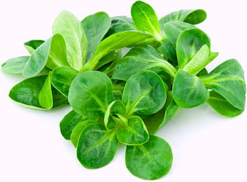 Bio RungisLpd - Org Lambs Lettuce Salad/Bio Rungis - 1 Pc