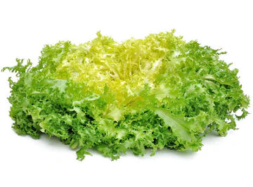 Bio RungisLpd - Org Frisee Salad/Bio Rungis - 1 Pc