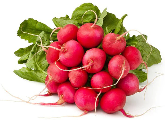 Bio RungisLpd - Org Red Round Radish/Les Paysans Bio  - 1  Pc