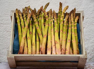 Les Paysans BioLpd - Org Green Asparagus/Les Paysans Bio  - 1  Pc