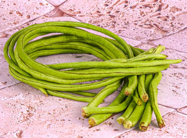 ZenxinLpd - Org Long Beans/Zenxin  - 1  Pc