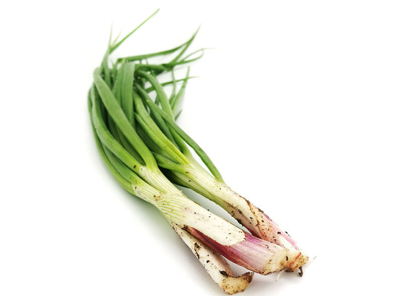 Zenxin Organic Spring Onion  -  40 G