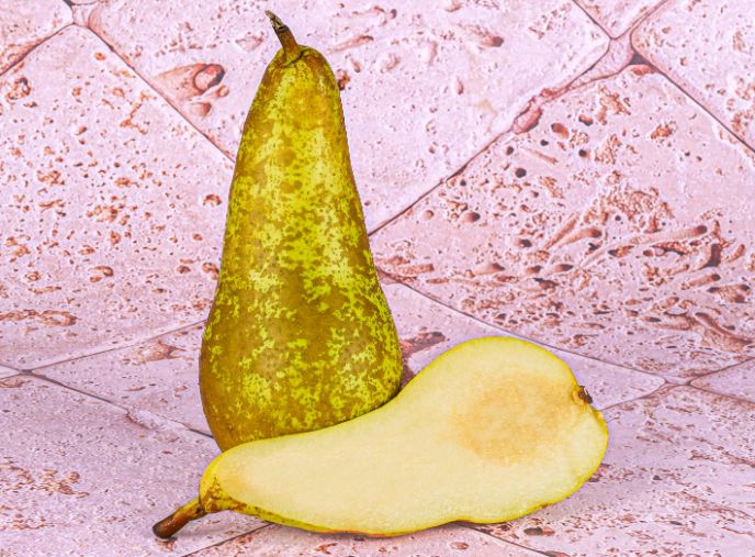 Zenxin Organic Conference Pear  -  2Pc