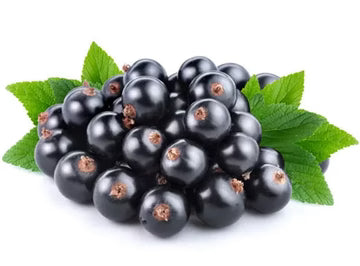 Les Jardins Du Petit DepotLpd - Blackcurrant/Les Jardins Du Petit Depot - 250 g