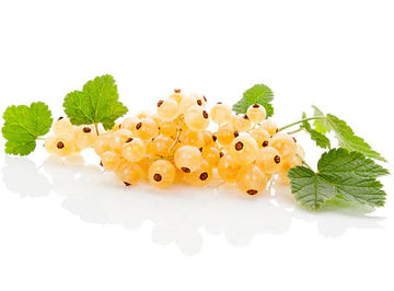 Les Jardins Du Petit DepotLpd - White Currant/Les Jardins Du Petit Depot - 1 Kg
